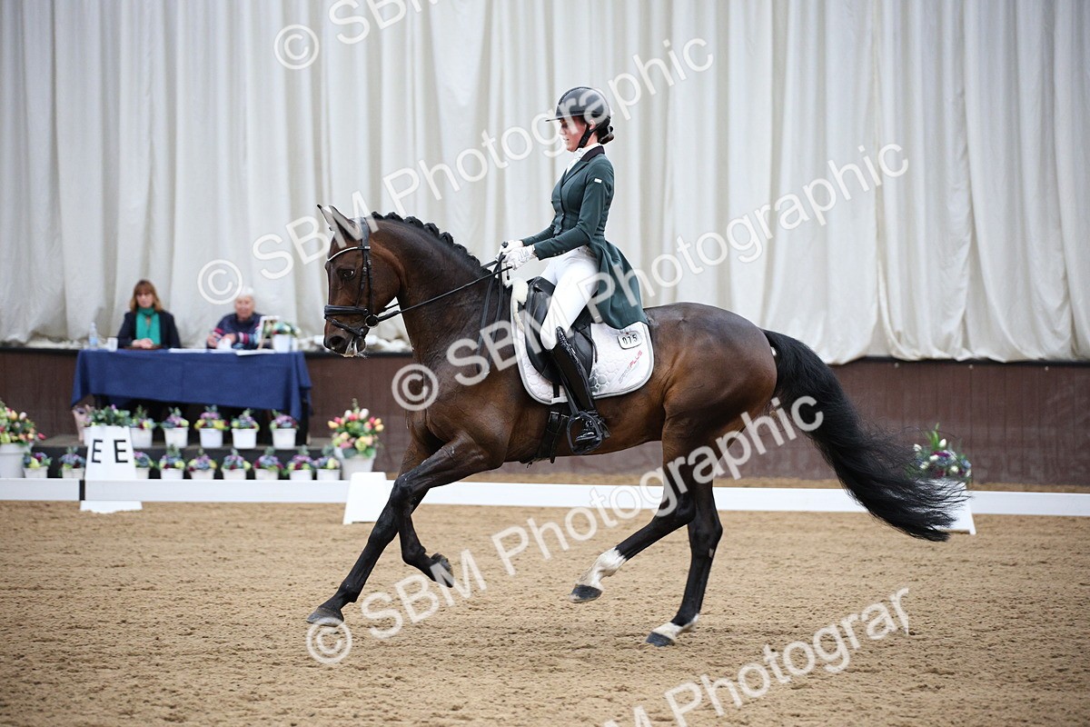 SBM_008031 - Class 12 - FEI PSG 14.46-15.50