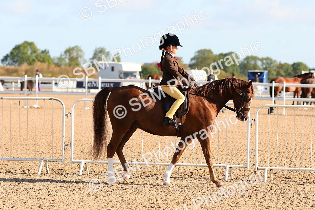 SBM_08156 - Class 202 - Best Turned Out -  Ridden