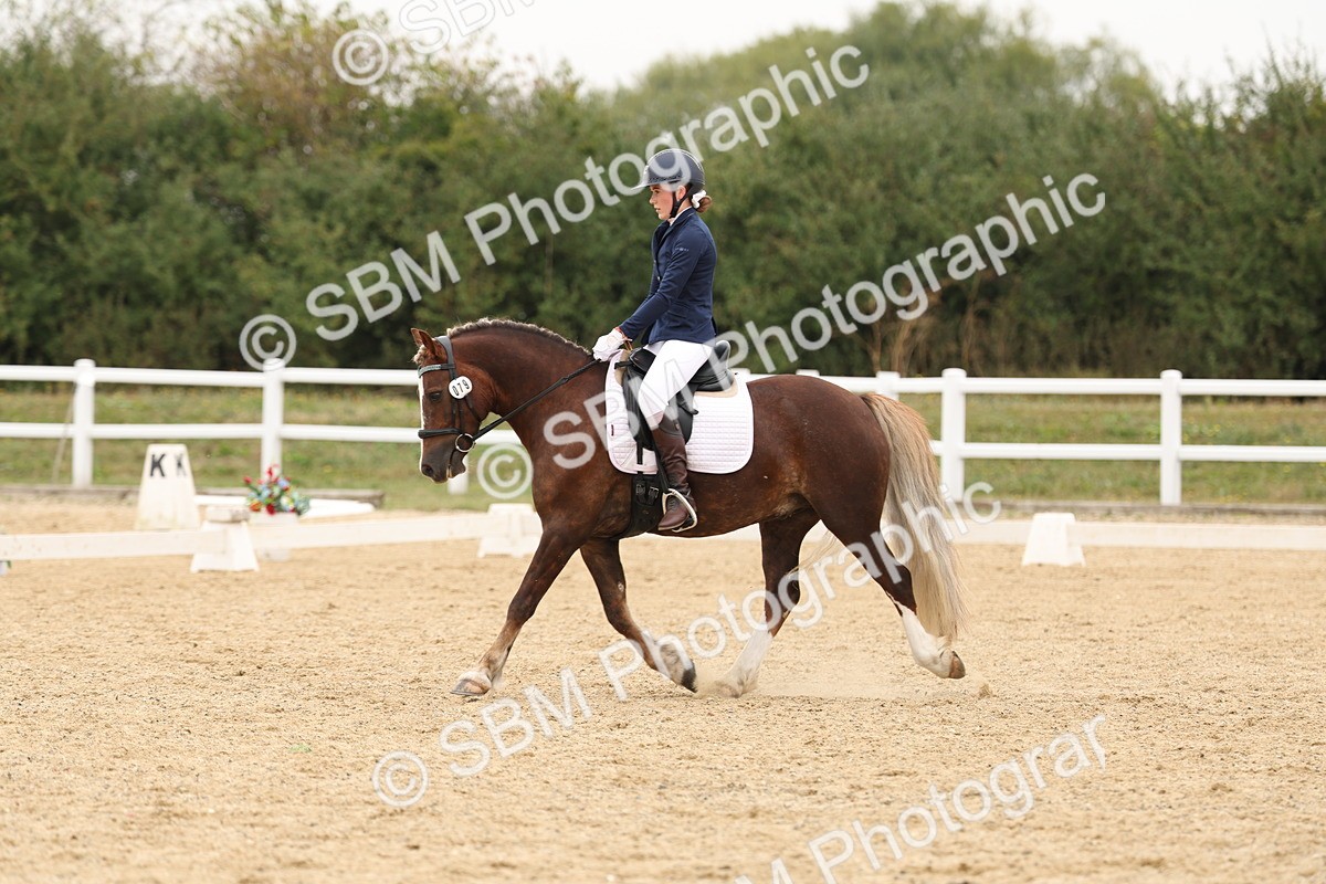 SBM_01059 - Class 8 - Novice 27 Champs