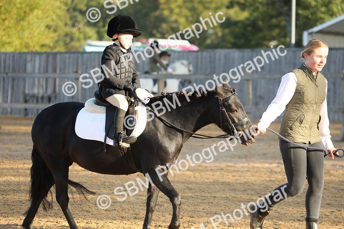 SBM_33575 - D26 - Starers - Lead Rein