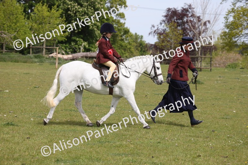 20260426-4084 - Small Pony Championship