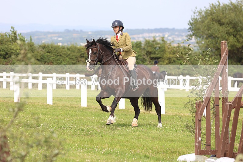 JPP_4031 - Class 24: Working Hunter 90cm