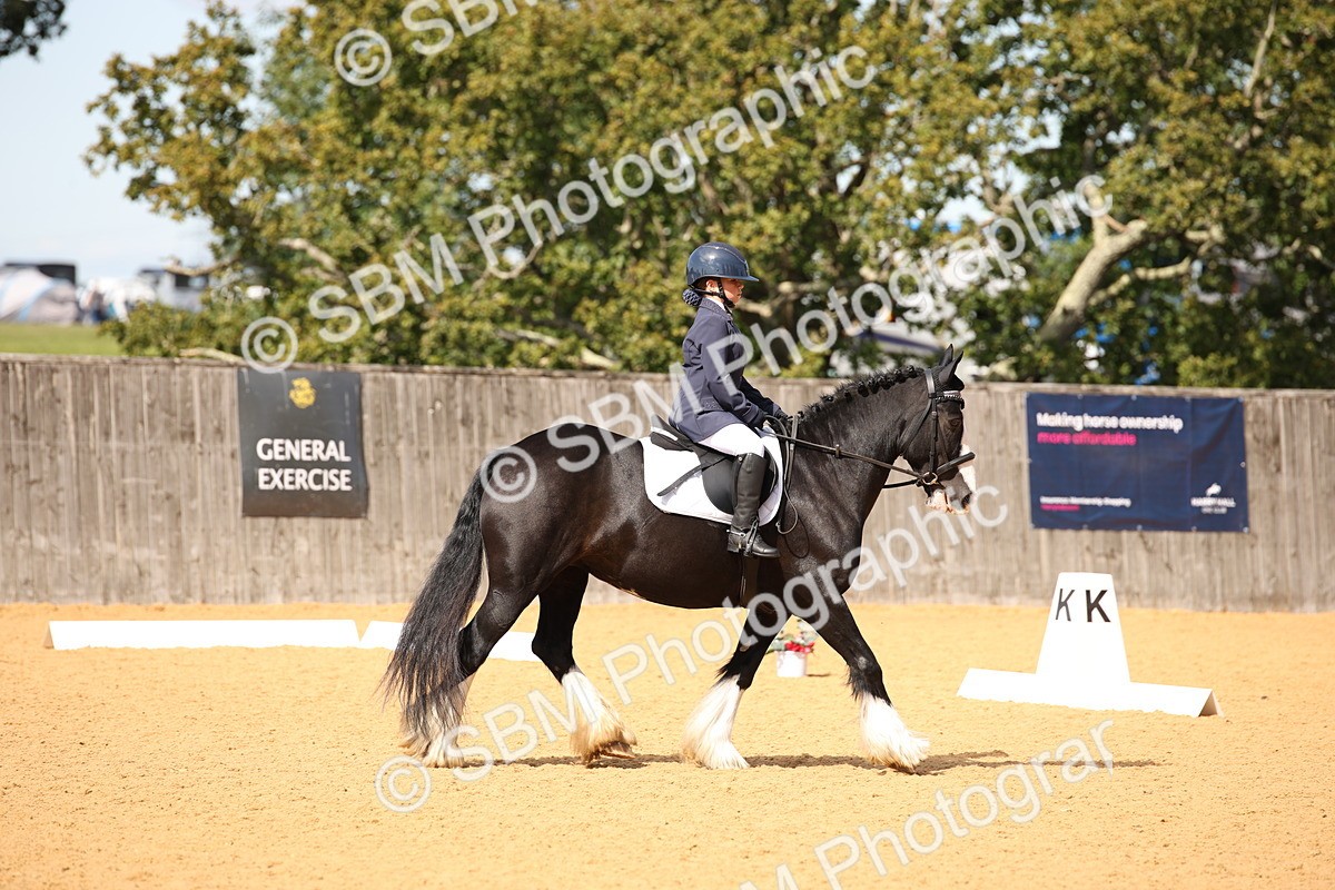 SBM_21723 - D5 - Small Tour Championship - Intro C