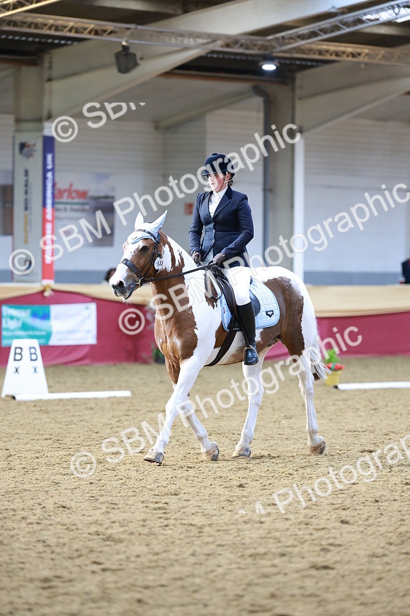 SBM_09181 - Class 61 - Dressage to Music