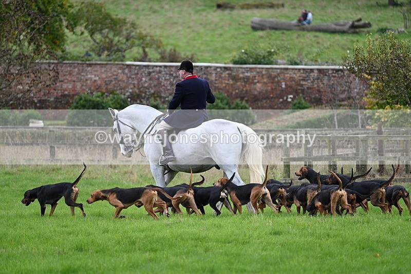 WJ7_4790 - Camera 1 Line 3