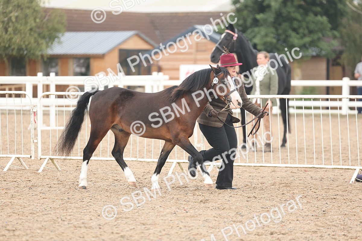SBM_08420 - Class 29 - IH Veteran Pony