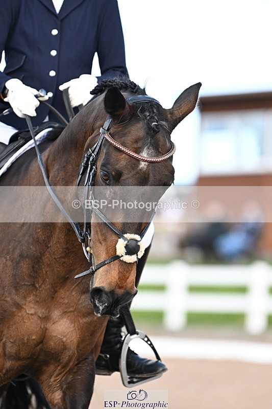 240324A-133256-03688 - Novice 27, 12.30 to 13.50