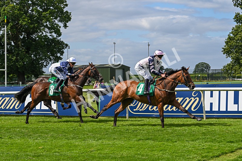 030824-Race 2-Barefoot Warrior-1529 - Race 2