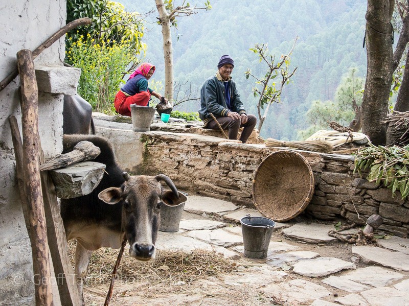 Walk from Kathdara - Binsar Sanctuary
