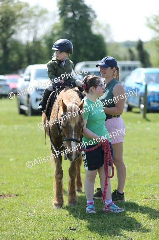 20250427-2736 - Class 6 - Pony Judge Would Most Like To Take Home