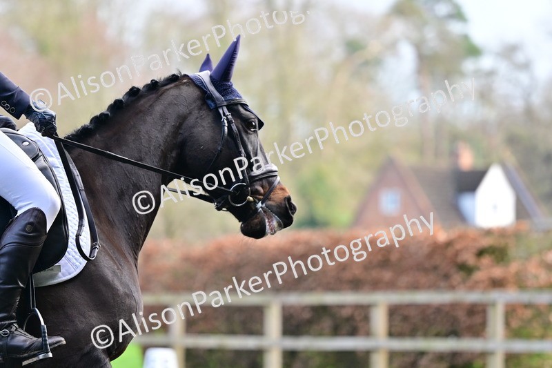 20260125-3936 - Class 12 - Novice