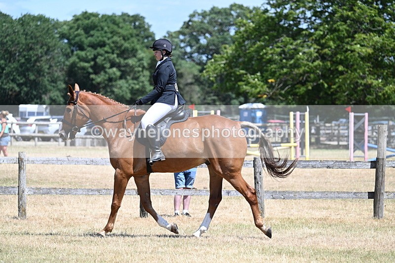 WJ7_2776 - Class 7 Riding Club Show Horse