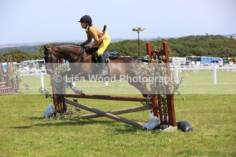 JPP_3058 - Class 22: Working Hunter 70cm