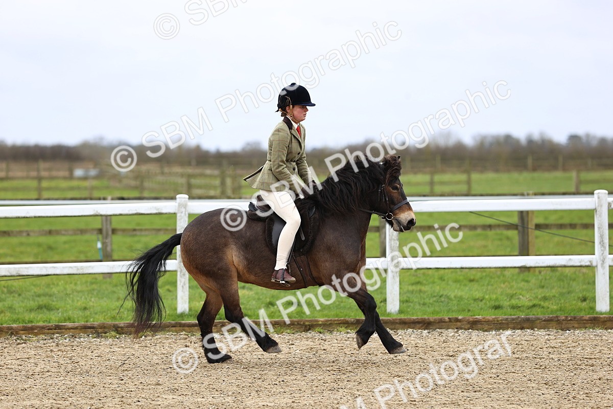 SBM_006757 - Class 29 - 30 - M&M Pure Novice Small-Large Breeds