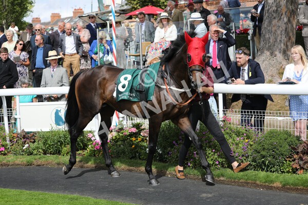 yr19082022r2-4 - Race 2 2.25pm Weatherbys Hamilton Lonsdale Cup (British Champions Series Race)