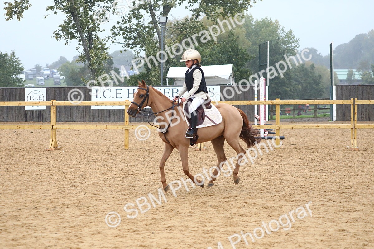 SBM_71739 - J4 - Mini Tour Junior Pony 45cm Championship