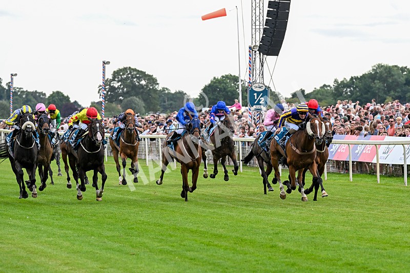 250726-Race 4-Dwindling Funds-0918 - Race 4 15.05pm Sky Bet For The Fans Handicap