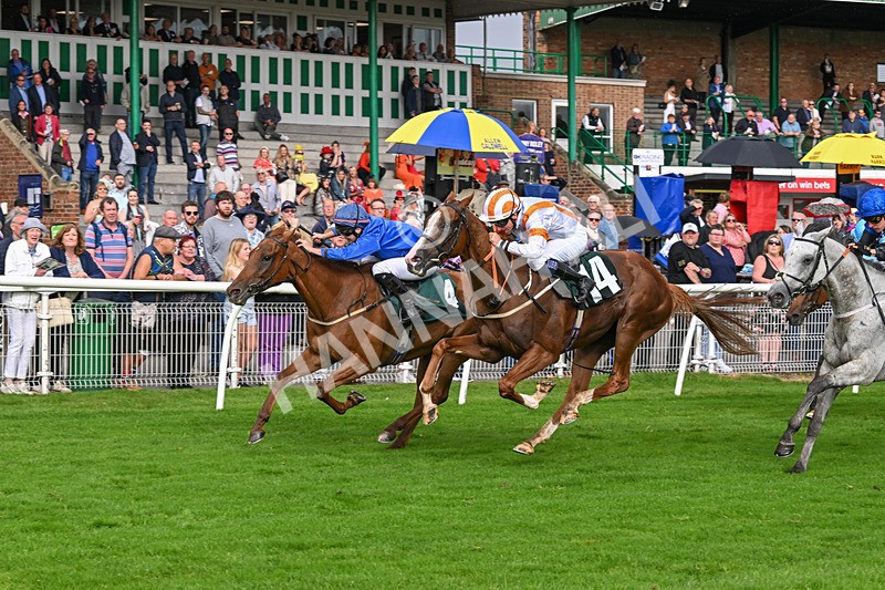 280824-Race 5-Hidden Pearl-4788 - Race 5