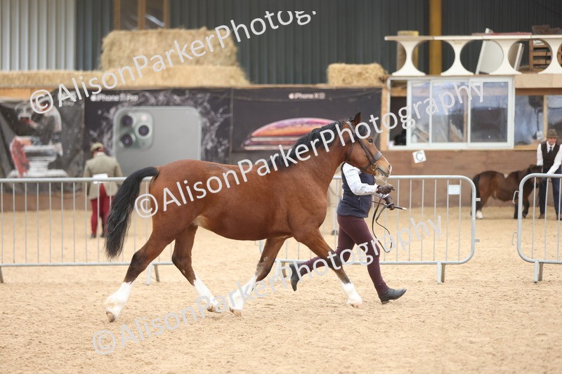 20251109-0902 - Class 26 - 2 and 4 Year Olds