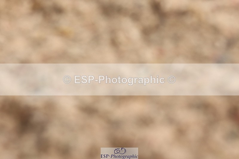 240622A-093425-07838 - Cls 26 BD Novice 22