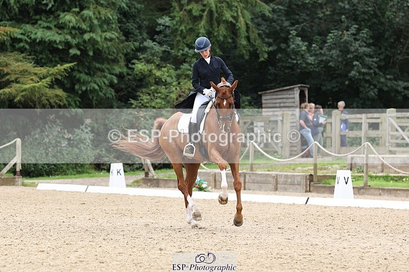 240810-133354-03339 - 188-Amanda.Towle.Shaw-Rockwood.Virtue