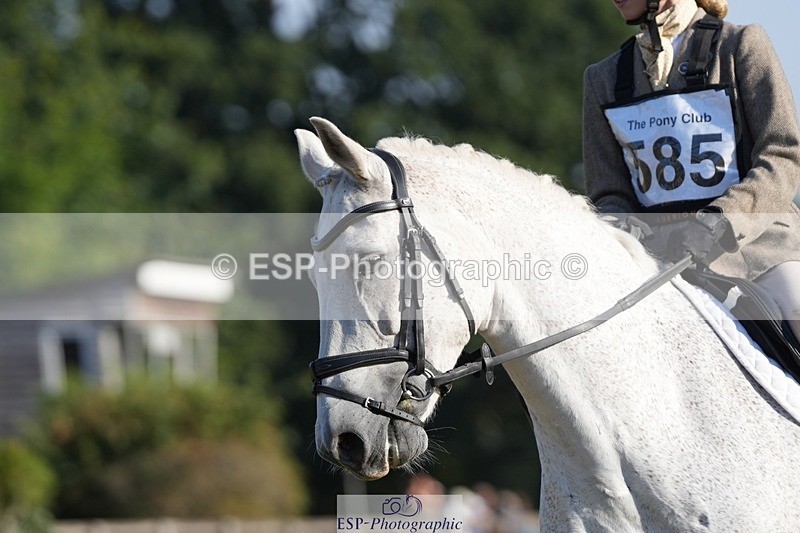 250823A-085935-25607 - Arena A