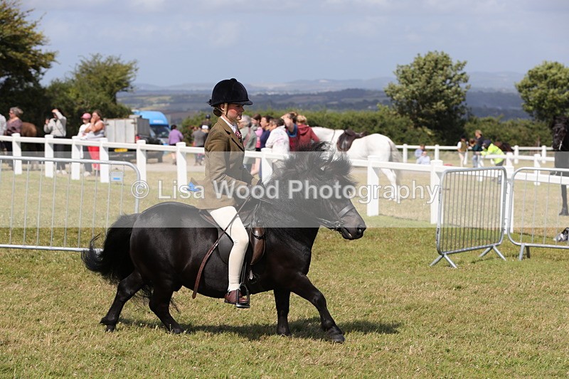 1X9A5578 - Class 39: NPS Dartmoor, Exmoor, Shetland
