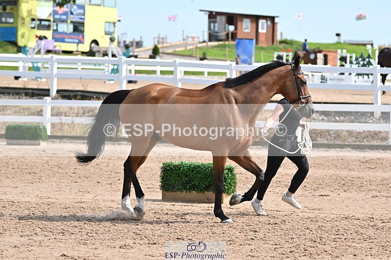240717A-160215-03276 - Trot Up 4pm to 5pm