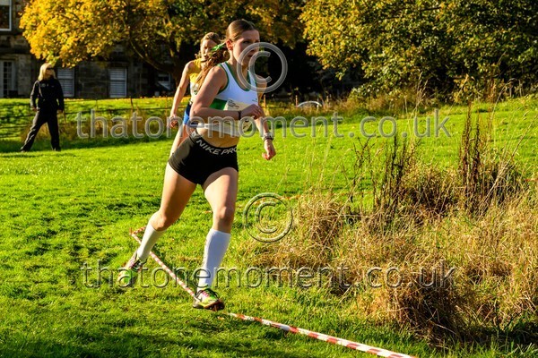 NatRel25-913986 - Young Female Set Two