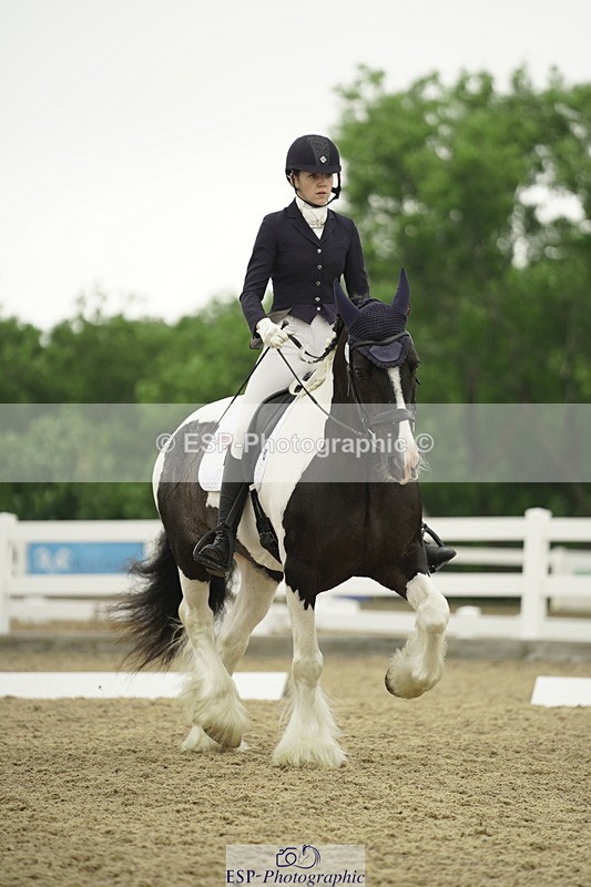 230708A-111358-00884 - Novice 30