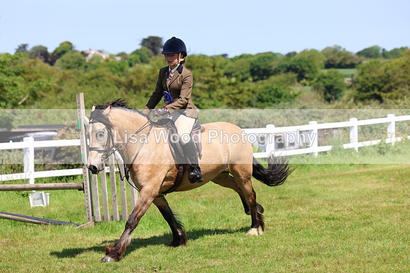 3E7A6788 - Working Hunter Pony Championship