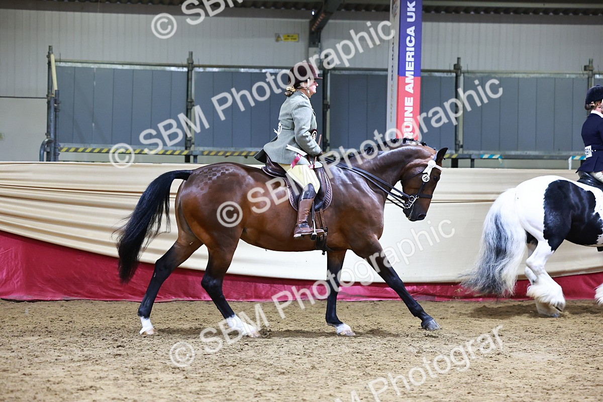 SBM_23604 - class 906 - Supreme Final - Ridden Pre Vet