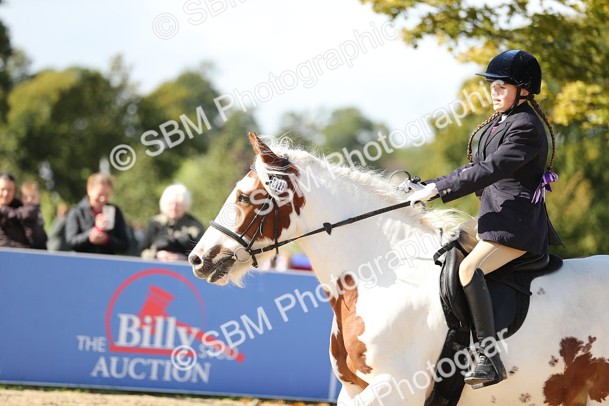 SBM_40190 - J21 - Junior Horse 60cm Championship