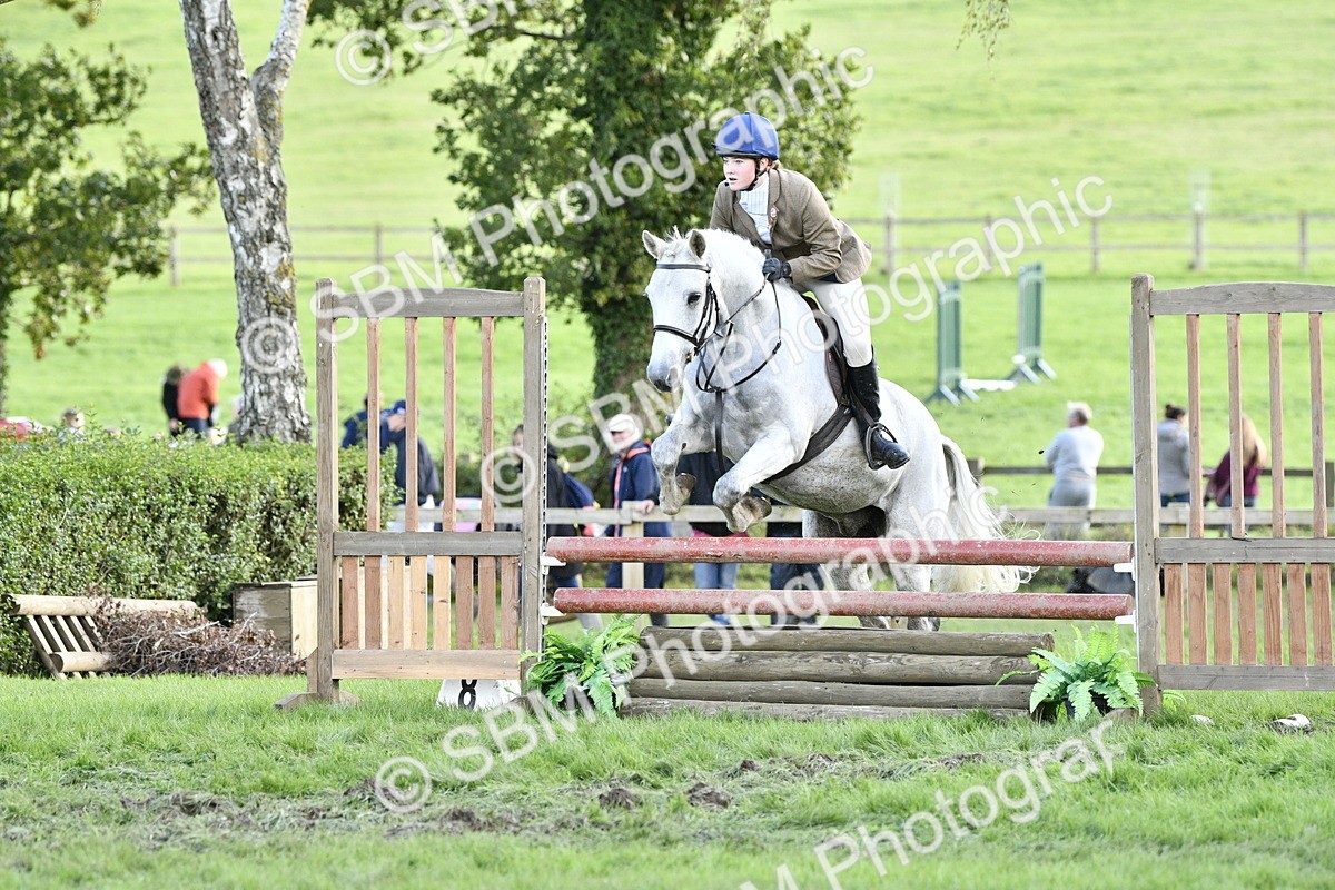 SBM_52151 - S35 - Working Hunter & Working Show Horse