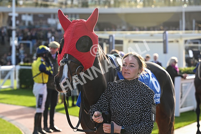 251025-Race 4-Lisnamult Lad-9051 - Race 4