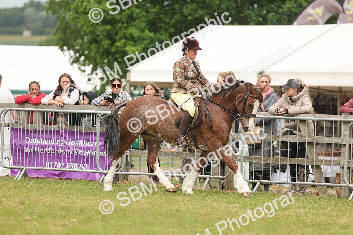 SBM_07170 - Class 76-77 - Ridden M&M Welsh Ponies