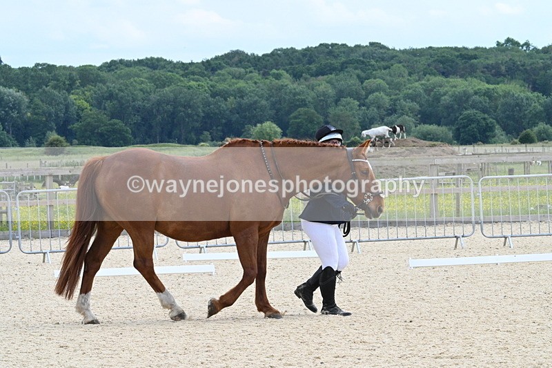 WJ7_8002 - Time 15:39 to 16:08