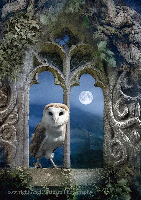 Evening Falls - Mystery & Moonlight