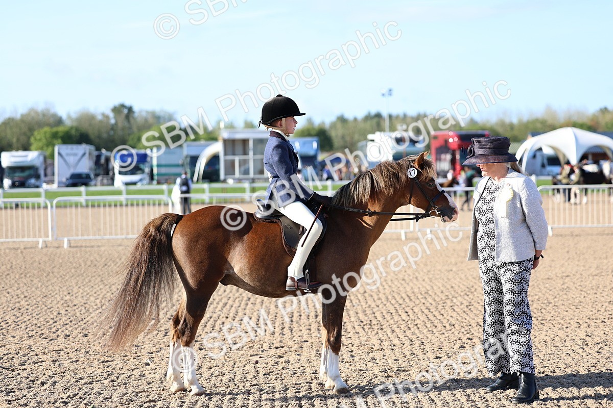 SBM_07839 - Class 301 - Ridden M&M - Small Breeds