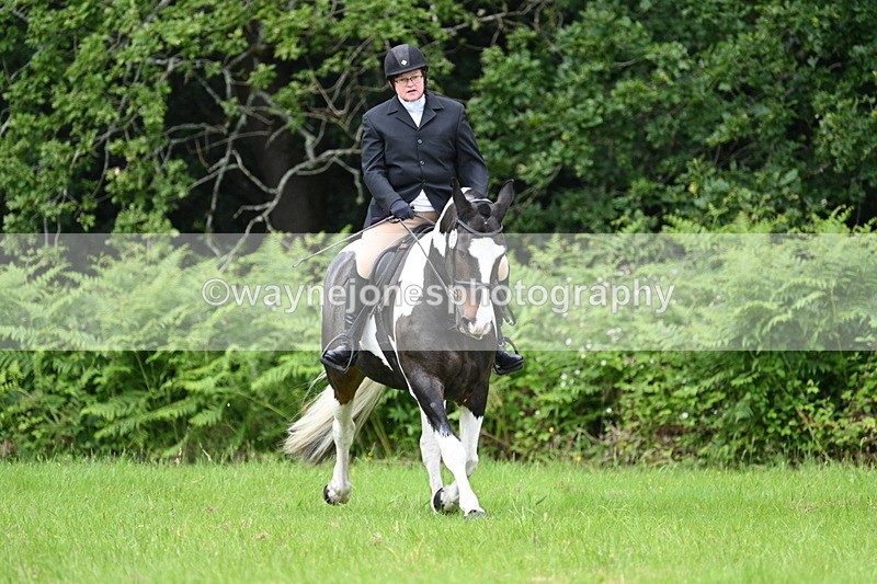 WJ7_2070 - Class 12A Coloured Class