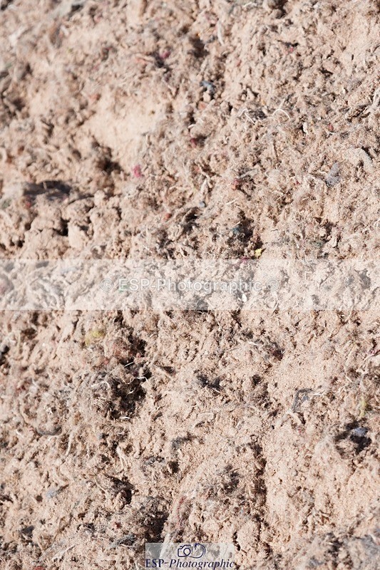 250503-140100-01196 - Cls 27 Stepping Stones