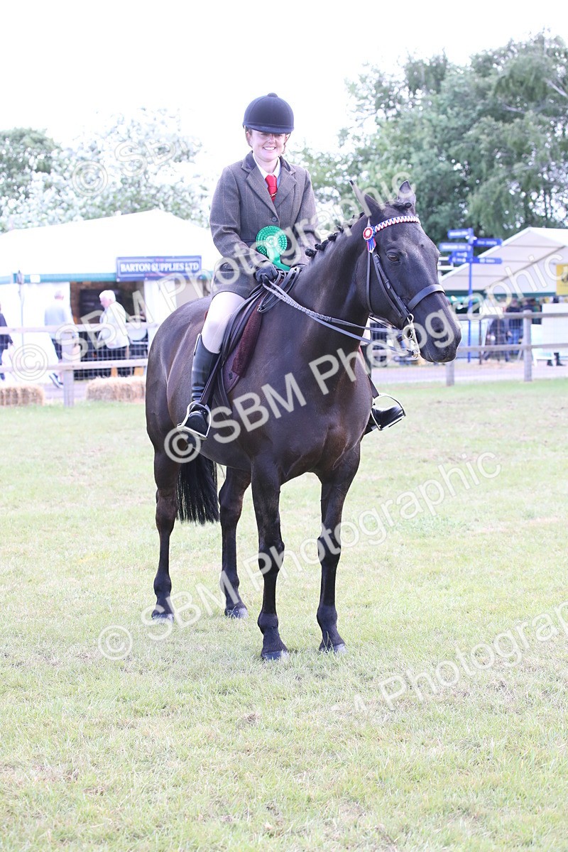 SBM_13278 - Class 95-96 - LIHS BSHA Rising Star Hack Riding Horse