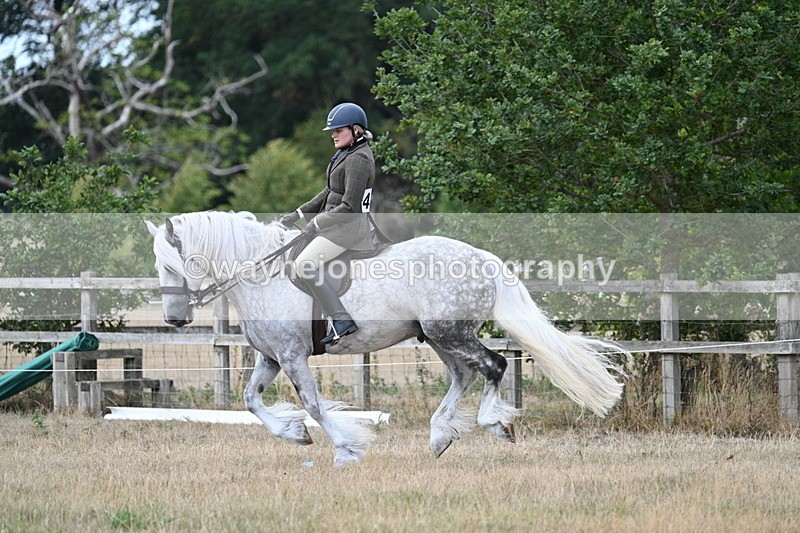 WJ7_5134 - Class 12 Ridden Cob