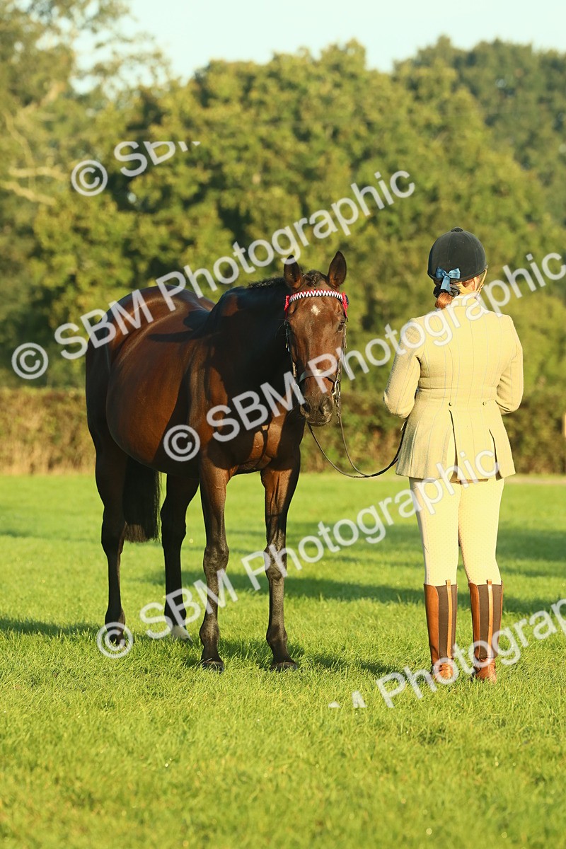 SBM_56614 - S36 - Starters Best Turnout