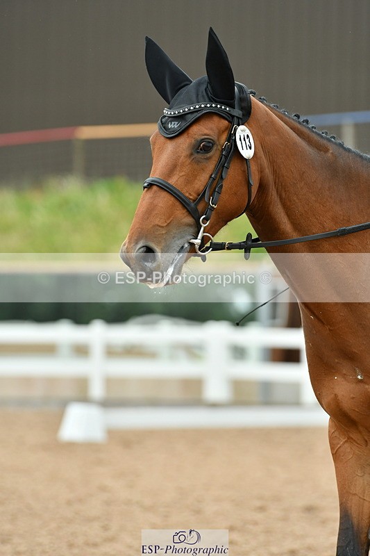 230630A-120249-01768 - Cls 7 Elementary 45