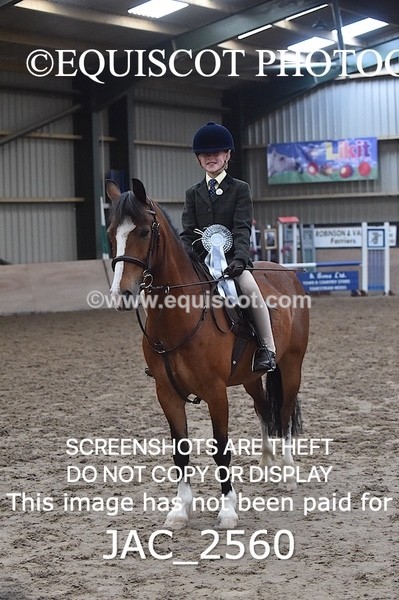 JAC_2560 - CLASS 3 Intermediate Working Hunter