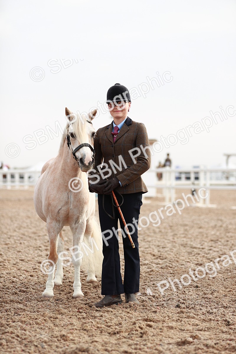 SBM_09534 - Class 201 Best Turned Out IH