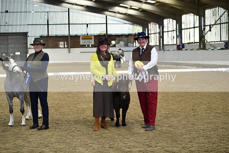 WJ5_5545 - Class 8 In hand cob