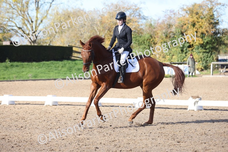 20251102-0602 - Class 4 - Novice 6