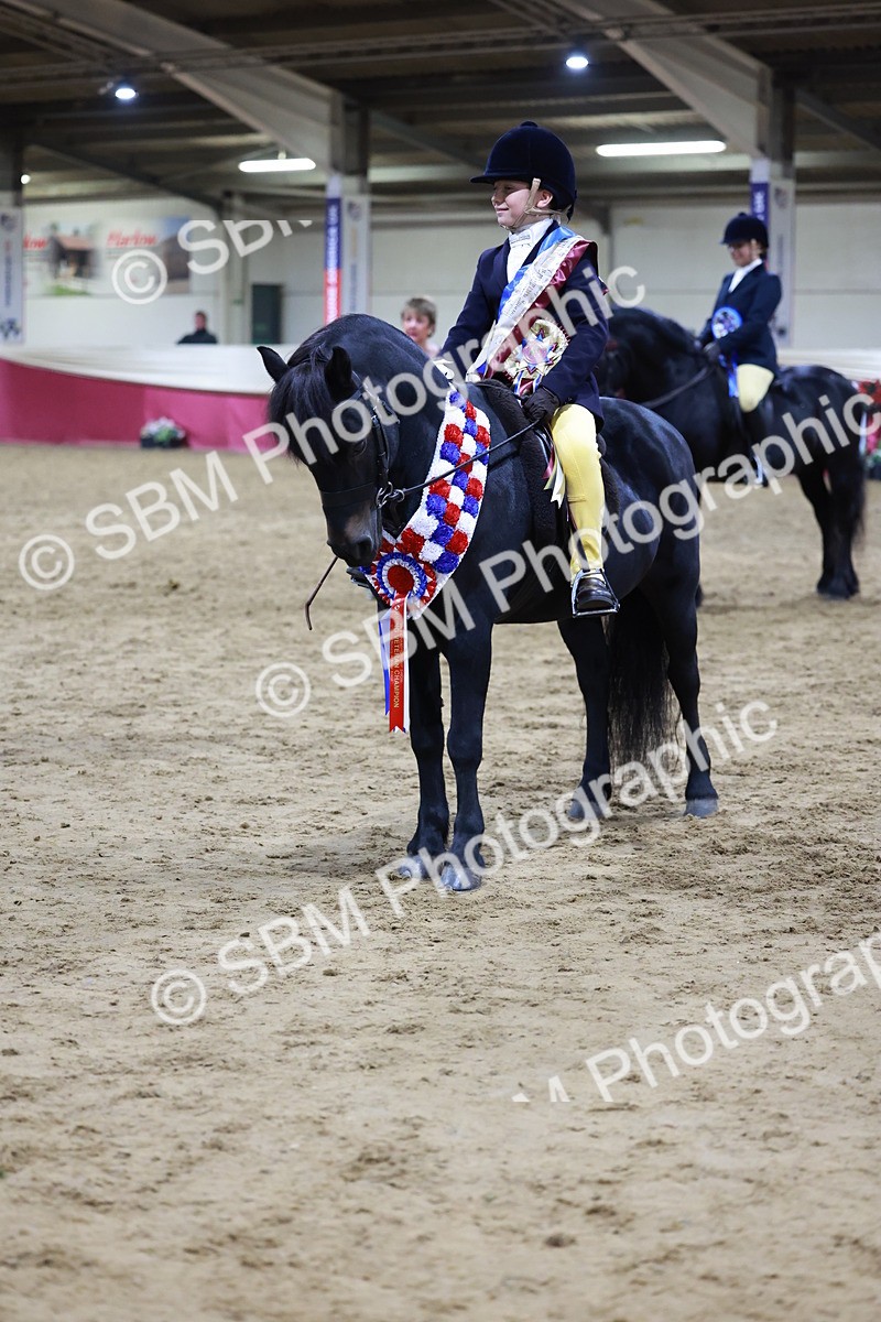 SBM_21389 - Class T - Working Veteran Champs